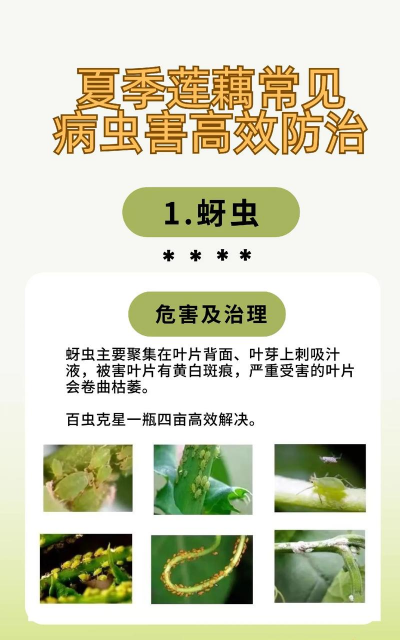 夏季常见8种病虫害的防治 夏季常见8种病虫害的防治
