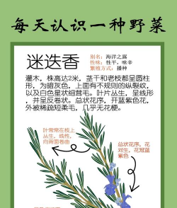迷迭香开花怎么办 迷迭香开花怎么办