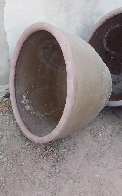 室外水缸养花 室外水缸养花