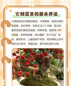 柴火能养花吗 柴火能养花吗