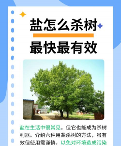 盐碱绿化如何提高树木成活率 盐碱绿化如何提高树木成活率