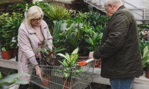 高大爷养花花 高大爷养花花