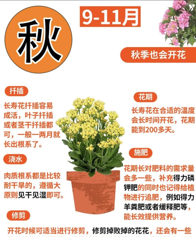 怎么教你养花草 怎么教你养花草