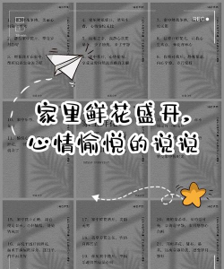 发屋里养花文案 发屋里养花文案