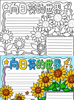 太阳花养花小报 太阳花养花小报