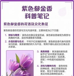 紫色郁金香花语是什么?紫色郁金香的种植方法 紫色郁金香花语是什么?紫色郁金香的种植方法