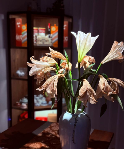 百合花凋谢后怎么养殖 百合花凋谢后怎么养殖