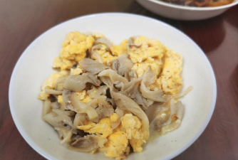 蘑菇怎么种怎么摆设 蘑菇怎么种怎么摆设