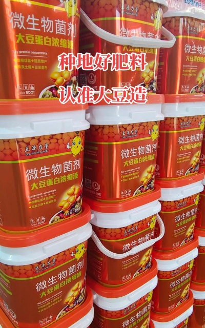 大豆发酵养花方法 大豆发酵养花方法