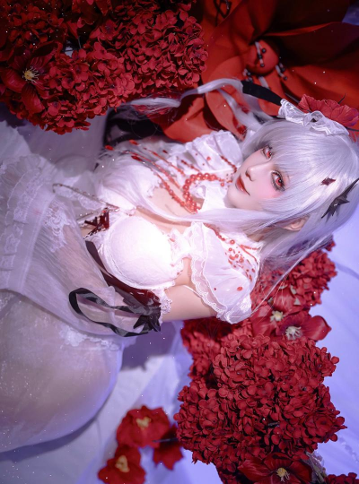 可可莉克养花 可可莉克养花