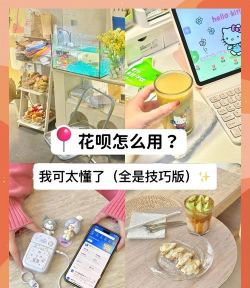 养花呗要细心 养花呗要细心