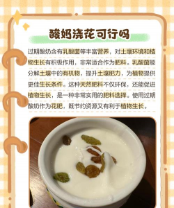 酸奶养花怎样养 酸奶养花怎样养