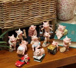 小猪养花的橱窗 小猪养花的橱窗