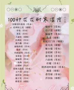 养花怎么防寒最好 养花怎么防寒最好