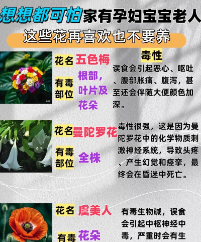 在家养花坏处 在家养花坏处