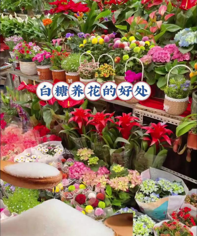 白糖加什么 养花 白糖加什么 养花
