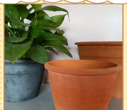 养花的瓦盆子 养花的瓦盆子