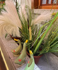 盐的妙用 养花 盐的妙用 养花