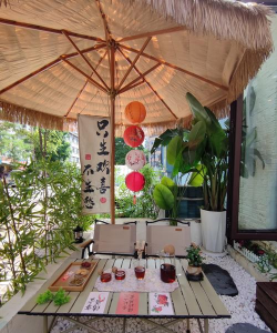 妙云客栈养花 妙云客栈养花