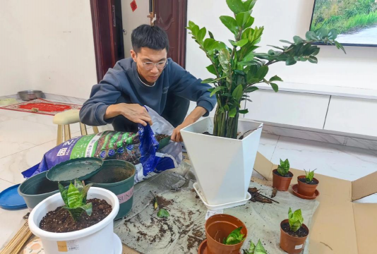 大男人爱养花 大男人爱养花