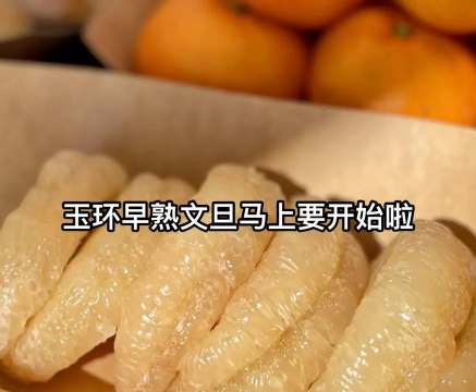 文旦养花瓶文案 文旦养花瓶文案