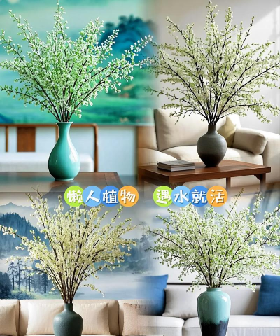 柳树皮养花效果 柳树皮养花效果