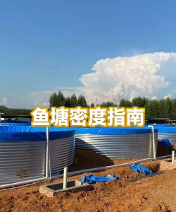 鱼池养花鲢密度 鱼池养花鲢密度