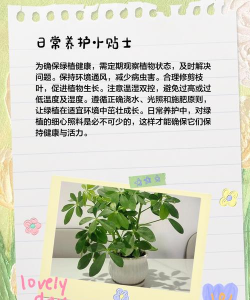 养花叶子黄 养花叶子黄