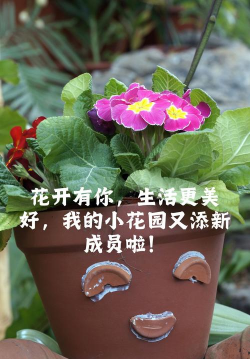 个性懒人养花说说 个性懒人养花说说