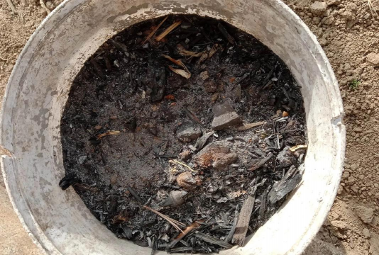 养花就是耍流氓 养花就是耍流氓