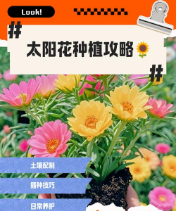 养花如何人造阳光 养花如何人造阳光