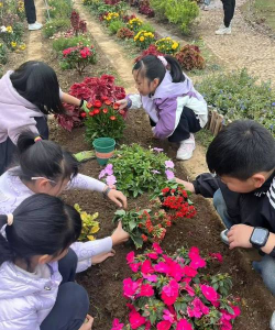 养花的辛勤付出 养花的辛勤付出