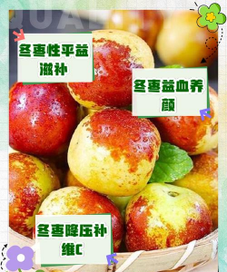 冬枣夏季注意事项 冬枣夏季注意防落果 冬枣夏季注意事项 冬枣夏季注意防落果