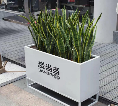 铁箱可以养花吗 铁箱可以养花吗