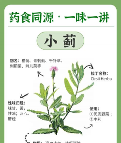 小蓟灰斑病的防治方法 小蓟灰斑病的防治方法