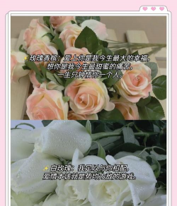 养花人爱听的话 养花人爱听的话