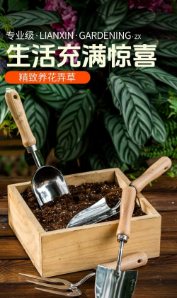 养花工具t 养花工具t