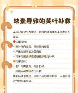 桔梗轮纹病如何防治方法 桔梗轮纹病如何防治方法