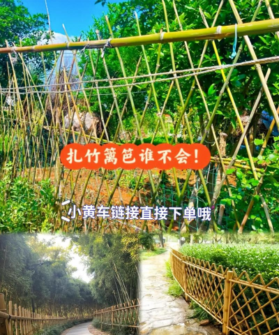 竹子做围栏养花 竹子做围栏养花