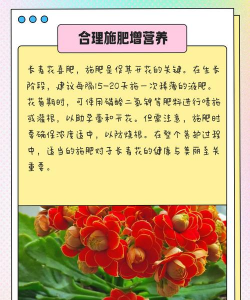 老妈养花的好处 老妈养花的好处