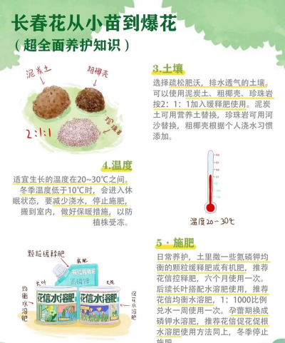 养花小知识摘要 养花小知识摘要