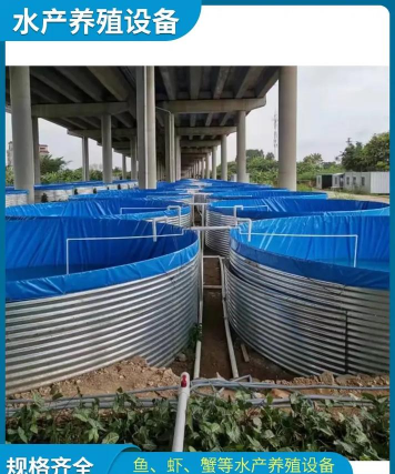 鱼池内养花钢 鱼池内养花钢