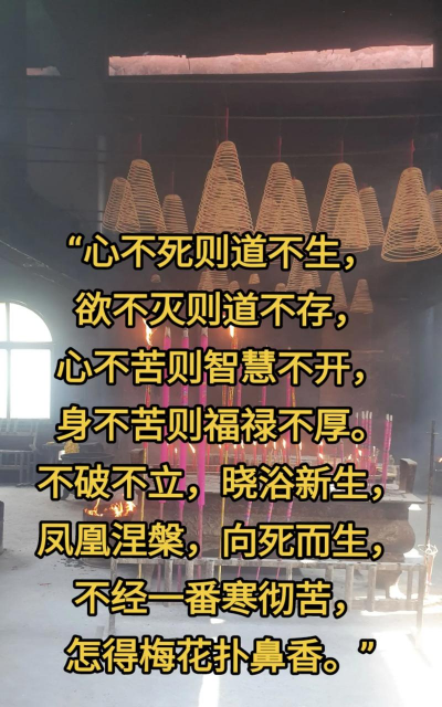 养花死掉的玄学 养花死掉的玄学