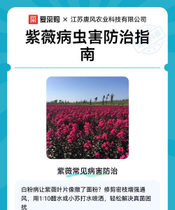 如何防治紫薇病虫害 如何防治紫薇病虫害