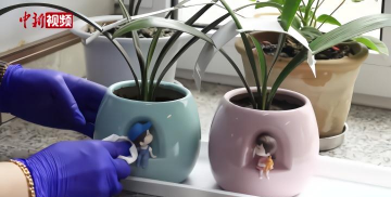 养花宿管阿姨 养花宿管阿姨