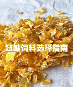 养花鲢鳙饲料 养花鲢鳙饲料