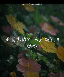 养花人搞笑自嘲 养花人搞笑自嘲