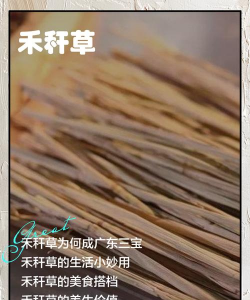 养花稻草杆的作用 养花稻草杆的作用