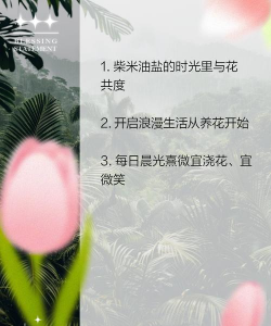 灵魂养花文案怎么写 灵魂养花文案怎么写