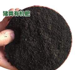 猪粪养花怎么发酵好呢 猪粪养花怎么发酵好呢